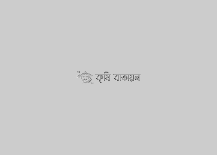 ‘ফণী’ মোকাবেলায় সর্বোচ্চ প্রস্তুতিঃ (কৃষকদের ৮০% পাকা ধান কেটে ফেলার পরামর্শ)