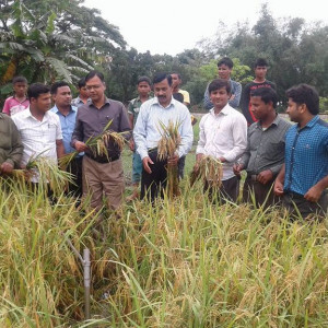 পৌরসভা ব্লকের মাঠ দিবসে উপস্থিত রংপুর অঞ্চলের অতিরিক্ত পরিচালক স্যার সহ ডিএই এর অন্যান্য কর্মকর্তা বৃন্দ